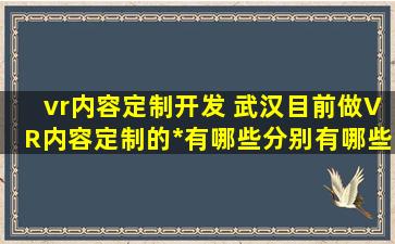vr内容定制开发 武汉目前做VR内容定制的*有哪些分别有哪些优势